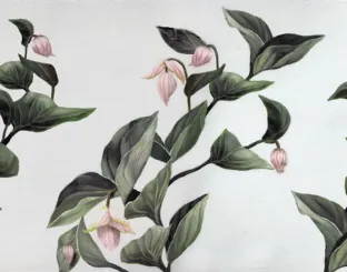 Carta da parati Medinilla di Inkiostro Bianco