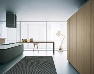 Cucina Moderna lineare Area 22 30 gradi 01 in laccato di Dibiesse